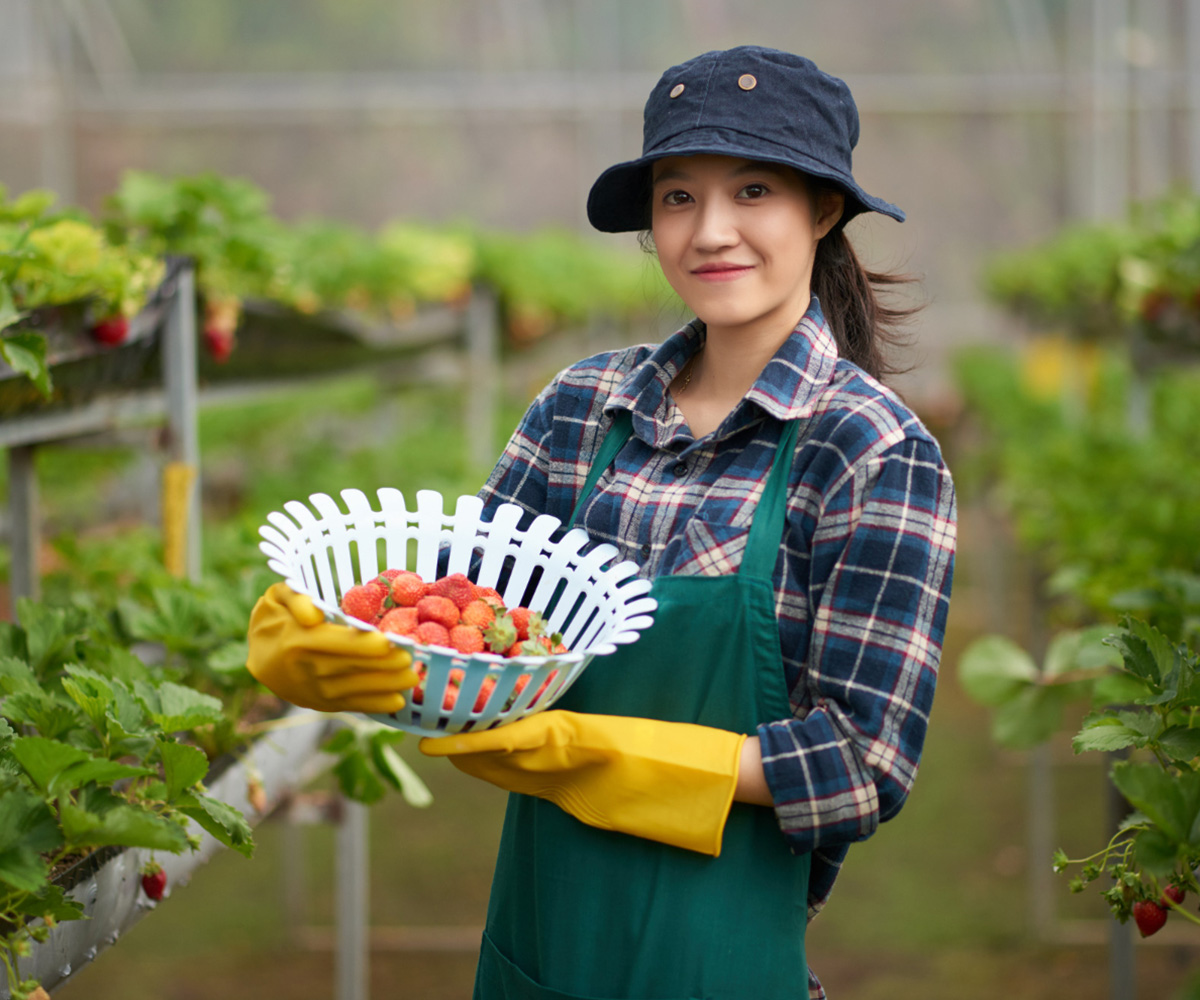 What technology is used in vertical farming?